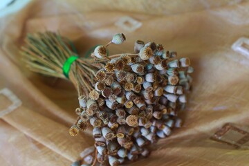 a dried bouquet of flowers for the interior lies on a golden fabric dot beautiful dried poppy heads. herbarium flowers in the interior for design.