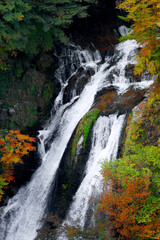 Beautiful scenery of Japan. Nikko's famous waterfall "Kirifuri-no-taki"