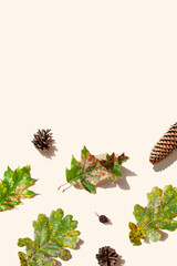 Oak leaves, cones, rose hip on a beige background with a long shadows. Sustainable Holidays. Autumn season minimal wallpaper concept. Copy space. Space for text