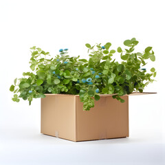 Tree and plant greenery in a box