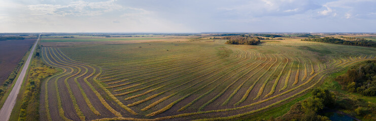 Aerial panoramic of a prairie farm field with cut and piled crops that are drying before threshing.  A road disappears into the distance. The cloudy sky is gray to bluish.
