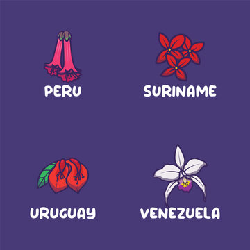 South America national flowers for Peru, Suriname, Uruguay, Venezuela