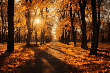 golden autumn forest background and wallpaper copy space