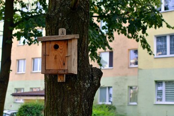 Fototapeta na wymiar A birdhouse in a tree in a housing estate