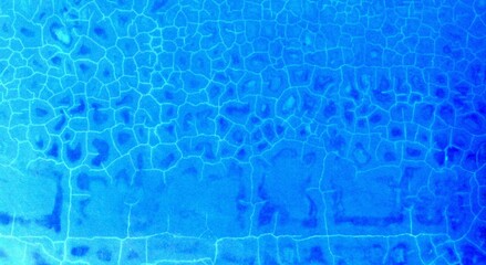 Obraz premium Cracked dry land transformed into seabed