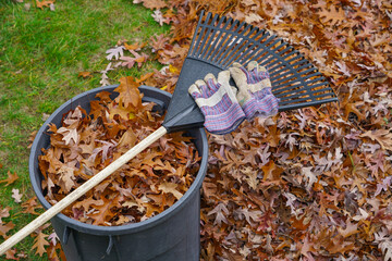 tools to remove fallen leaves in the garden
