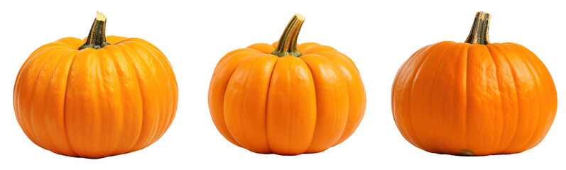 Obraz premium Many orange halloween pumpkins of different shapes isolated on transparent background