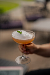 Breezy white foam cocktail with peppermint at cocktail bar