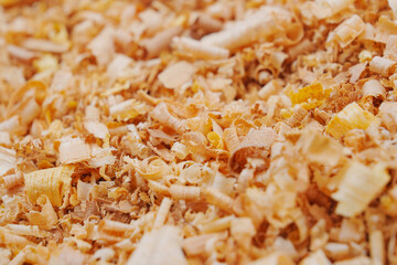 sawdust and shavings. material for agriculture. mulch 
