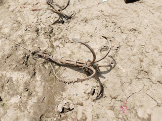 Fishing boat rusty traditional anchor on a beach by the river.