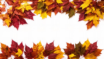 Naklejka na ściany i meble Beautiful autumn leaves