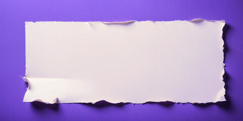 Fototapeta premium a scrap of paper background