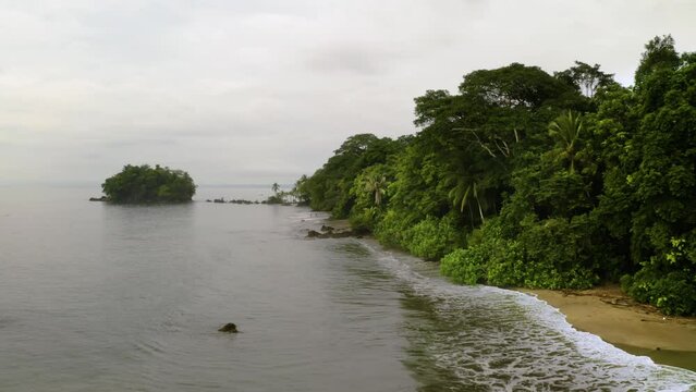 Pacific Coast With Rainforest
