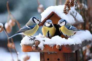 Keuken spatwand met foto The great tits in the snowy forest at the feeder © Enigma