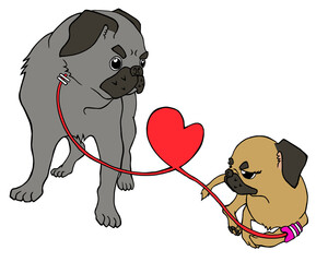 貧血のフォーンの子犬に輸血をする黒パグ