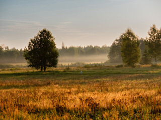 Fototapeta premium Stunning sunrise nature scene in a country side with green grass field and forest and fog in the background. Agriculture land at sunrise. Nobody. Warm and cold color. Sun flare.