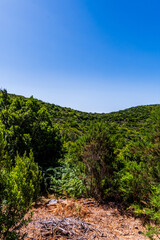 Obraz premium Paisaje en la Isla de la Gomera.