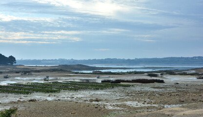 Joli paysage de mer à marée basse en Bretagne - France
