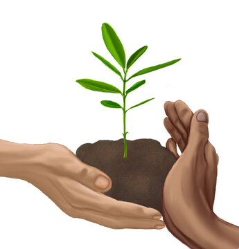 planting, trees, ecology, pollution problems, green, deforestation,forestprotection, soli, care, two hands, illustration, greens, sprout, hands of a woman ,gay, hands of a lesbian, transparent 