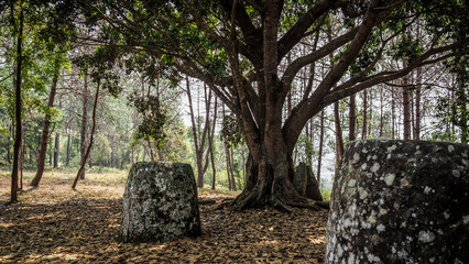 The Plain of Jars in Phonsavan, Laos