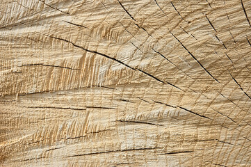 round timber, in the photo wooden logs stacked in stacks close-up