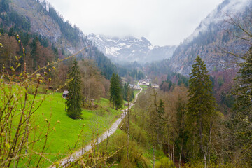 Fototapeta premium Road between trees in the Austrian mountain