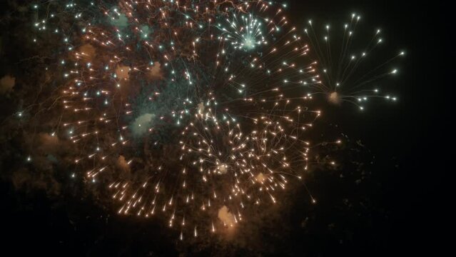 Beautiful fireworks display on the night sky background. Slow motion. 