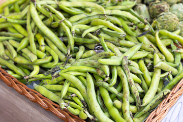 Heap of fresh green pods of broad beans in wicker tray on market counter. Popular vegetables consumed in Mediterranean countries. Healthy organic vegetarian product concept..