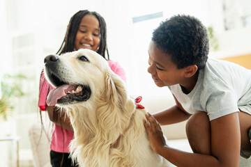 Children African American brother and sister stroking and playing with golden retriever at home