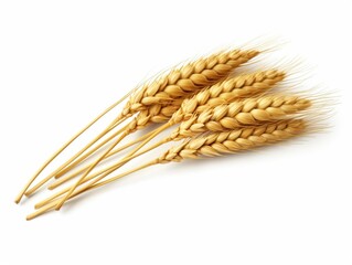 Wheat ears isolated on white background. Package design element with clipping path. Full depth of field : Generative AI