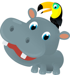 cartoon scene with happy tropical animal hippo hippopotamus and other animal on white background safari illustration for children