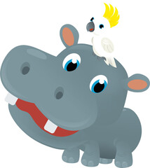 cartoon scene with happy tropical animal hippo hippopotamus and other animal on white background safari illustration for children