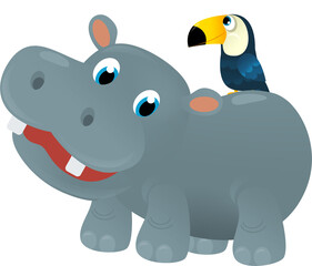 cartoon scene with happy tropical animal hippo hippopotamus and other animal on white background safari illustration for children