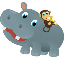cartoon scene with happy tropical animal hippo hippopotamus and other animal on white background safari illustration for children