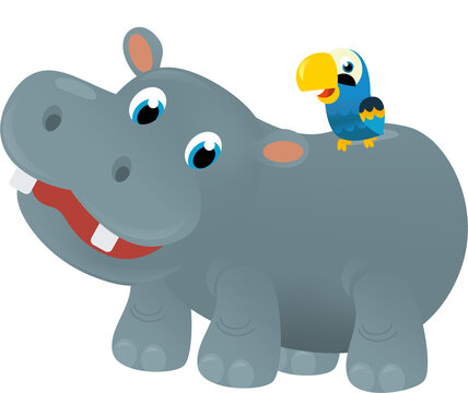 cartoon scene with happy tropical animal hippo hippopotamus and other animal on white background safari illustration for children
