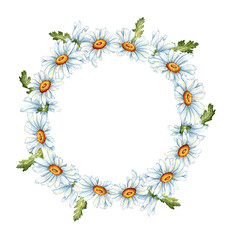 Watercolor illustration frame of a wreath of white daisies. Compositions for weddings, posters, cards, banners, flyers, covers, placards and other printed products. isolated