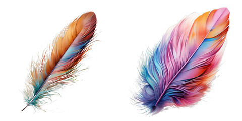 Png Set sketch of feathers transparent background