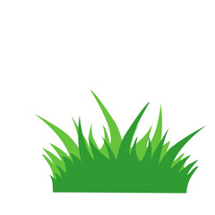 Green Grass Vector Illustration 
