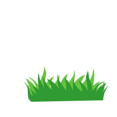 Green Grass Vector Illustration 