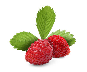 Fresh ripe wild strawberries with green leaves isolated on white