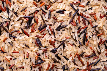 macro top view of a mix of rice, wild rice, red rice