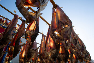 Hezhen air dried fish