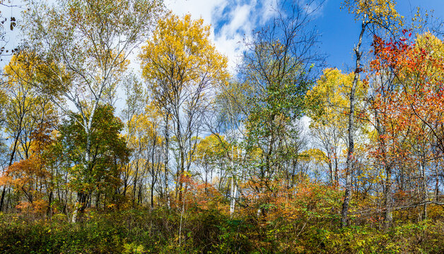 Wanda mountains forest autumn