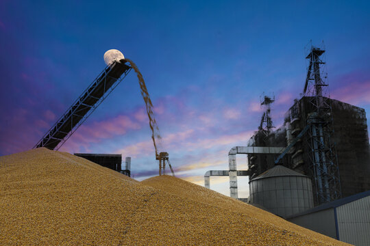 Grain corn drying storage loading