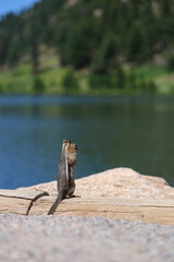 The view into the Alpines.