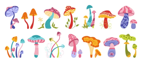 Fototapete Einhörner Mushrooms mystical boho magic set. Stylizes hippie poisonous and edible mushrooms. Organic porcini and chanterelle, psychedelic fungus. Tattoo or stickers retro alchemy collection vibrant vector