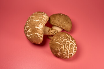 Three Portobello Mushrooms on a Pink Background