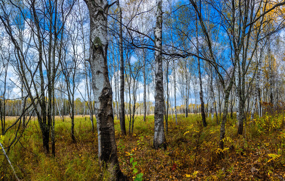Wanda mountains forest autumn