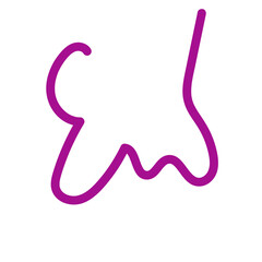 Pink Squiggles Lines Vectors 