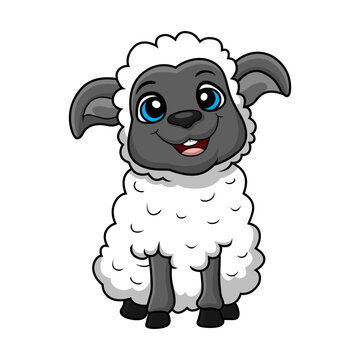 Cute sheep cartoon on white background